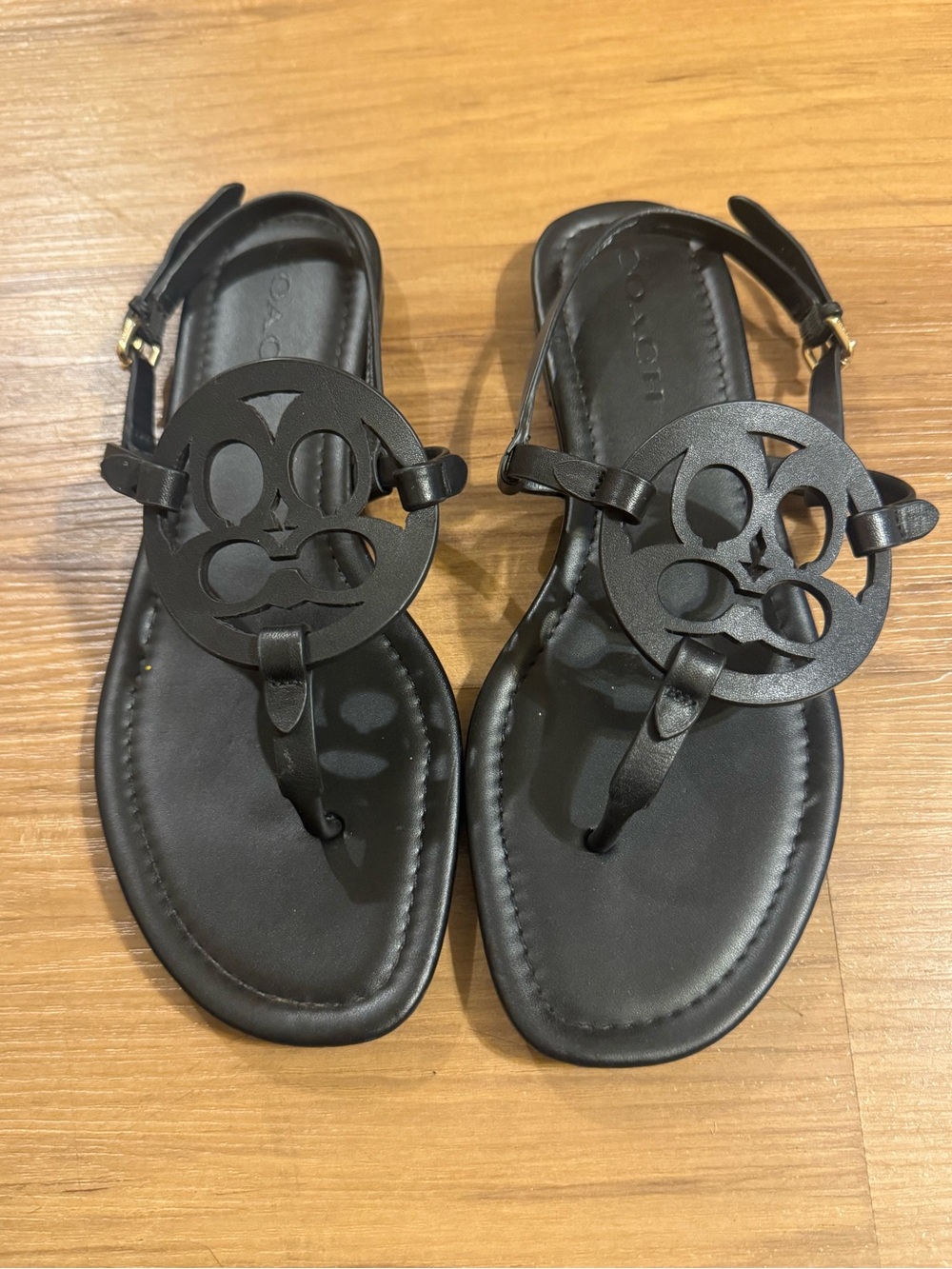 Coach Women’s Thong Sandals
